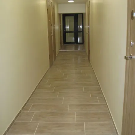 Tiny 公寓 考纳斯