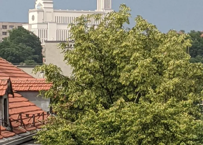 Tiny 公寓 考纳斯