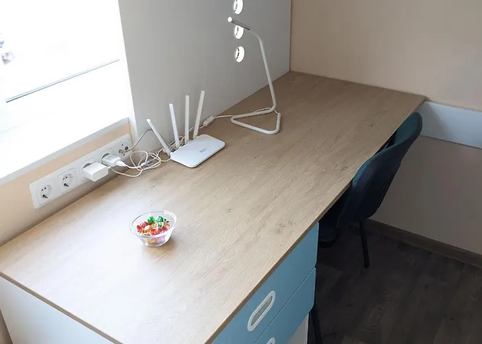 Tiny 公寓 考纳斯